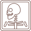 Lateral Cephalogram Icon